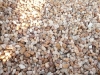 06-brown-tumbled-19mm-pebbles_web